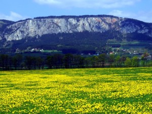 Ferraty – národní park Hohe wand + Grilování (5.4. – 6.4.2014)